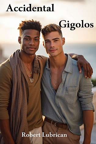 Accidental Gigolos cover Thumb