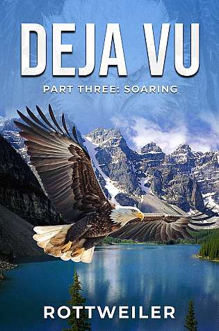 Deja Vu Part Three: Soaring cover Thumb