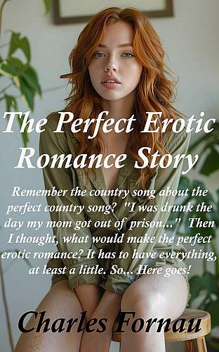 The Perfect Erotic Romance Story cover Thumb