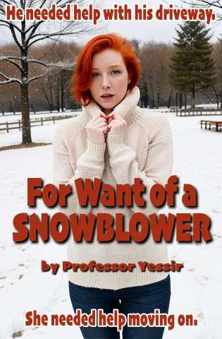 For Want of a Snowblower cover Thumb