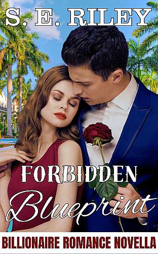 Forbidden Blueprint: A Billionaire Romance Novella cover Thumb