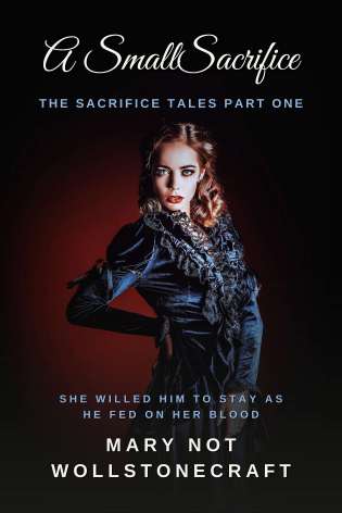 A Small Sacrifice: The Sacrifice Tales Part One cover Thumb