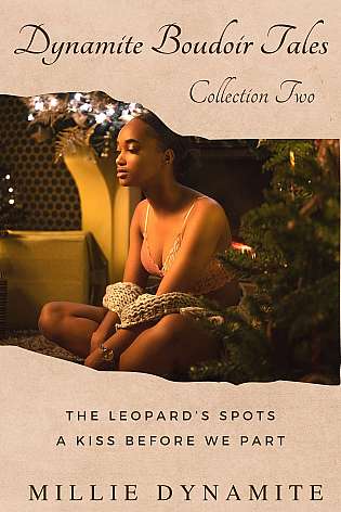 Dynamite Boudoir Tales Collection Two cover Thumb