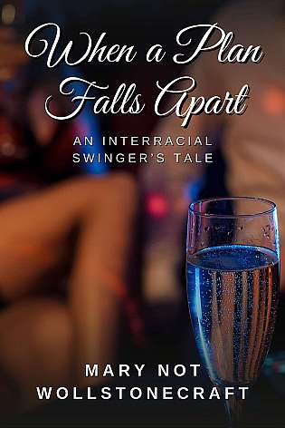 When a Plan Falls Apart cover Thumb