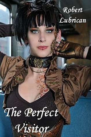 The Perfect Visitor cover Thumb